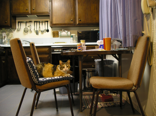 hadley-chair-0579