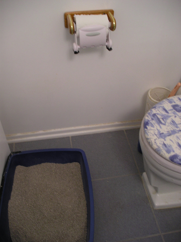 hadley-toilet-paper3-1410v