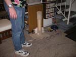 hadley-shoelace-0348