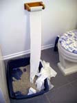 hadley-toilet-paper1-0259_500hx374w