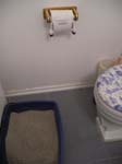 hadley-toilet-paper3-1410v